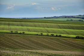 Rolling Wolds